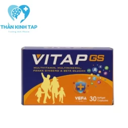 Vitap GS - Tăng cường sức đề kháng, chống lại bệnh tật